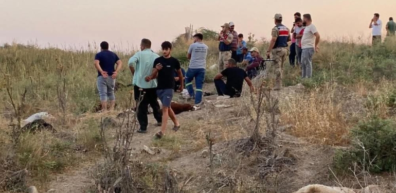 64 Küçükbaş Hayvan Dere Suyundan İçerek Telef Oldu!