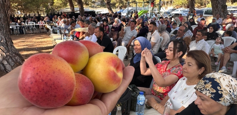 Kozaklı, Kayısı Festivaliyle Şenlendi