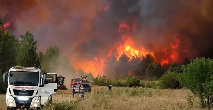 Eskişehir’deki Orman Yangınında 11 Orman İşçisi Şehit Oldu!