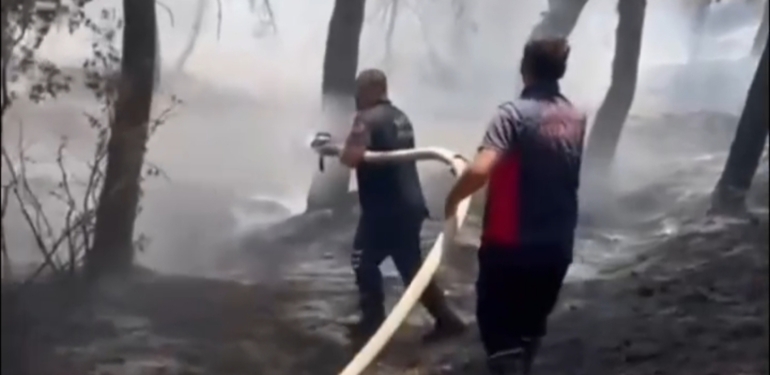 Yayladağı’ndaki Orman Yangını Kontrol Altına Alındı