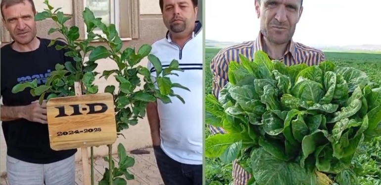 Hataylı Genç Girişimciden Tarımda Devrim!