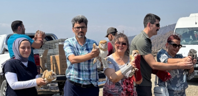 Tedavileri Tamamlanan Yaban Hayvanları Doğaya Salındı