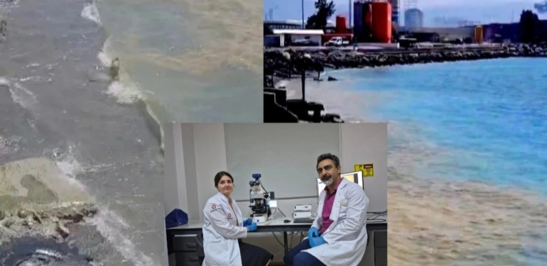 Halk Sağlığı Açısından Risk Yok!