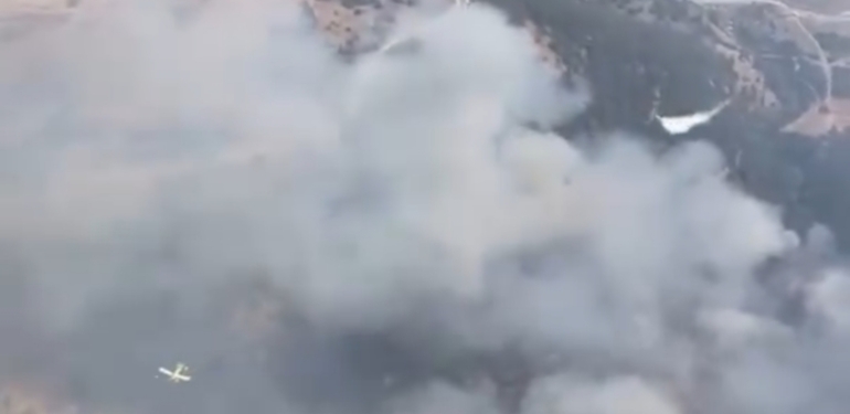 Orman Yangınlarında 3 Kişi Tutuklandı!