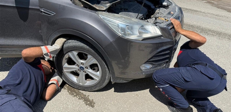 Büyükşehir Ekipleri, Sokak Hayvanlarına da Sahip Çıkıyor