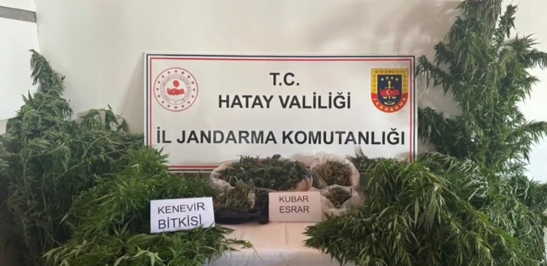 Samandağ’da Uyuşturucu Operasyonu : 5 Gözaltı!