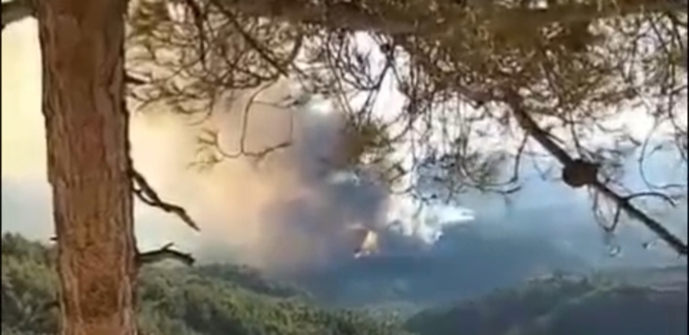 Yayladağı’ndaki Orman Yangınına Müdahale Sürüyor