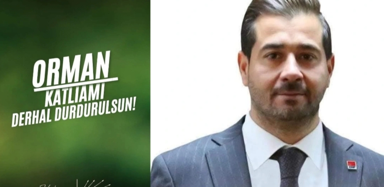 Tiryaki “Bu Orman Katliamı Nefesimizi Kesmeye Yöneliktir!”