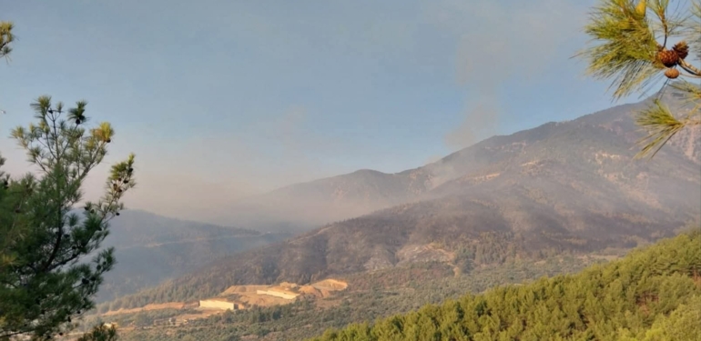 Hassa’daki Orman Yangınına Havadan Müdahale Başladı