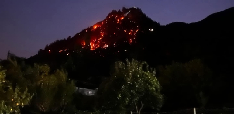 Zeytinlik Alanda Başlayan Yangın, Ormanlık Alana İlerledi