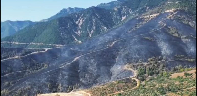 Hassa’daki Orman Yangını Kısmen Kontrol Altında