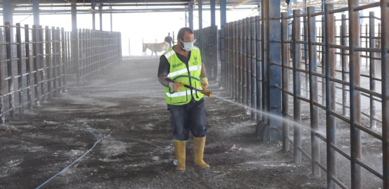 Şap ve Üç Gün Hastalığına Karşı Tedbirler Arttırıldı