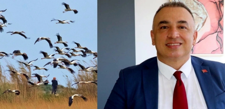 Nesli Tehlike Altındaki Türler İçin Sevindirici Gelişme