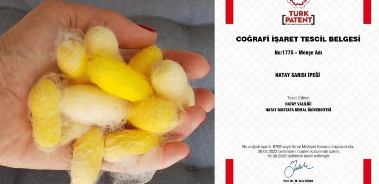 Hatay Sarısı İpeği Coğrafi İşaret Tescili Aldı