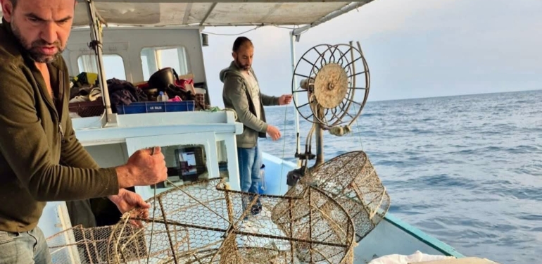 Akdeniz’de İstilacı Türlere Karşı Yoğun Mücadele