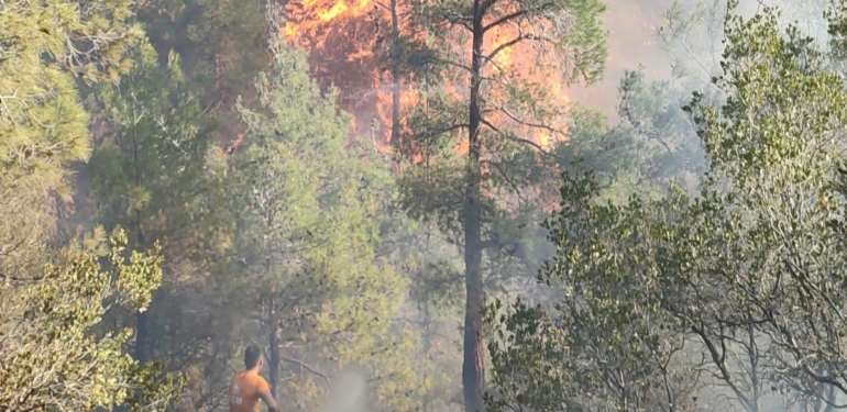 Belen Çerçikaya’daki Yangına Ekiplerin Müdahalesi Devam Ediyor