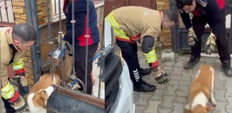 İtfaiyeden Minik Dostumuza Yardım Eli