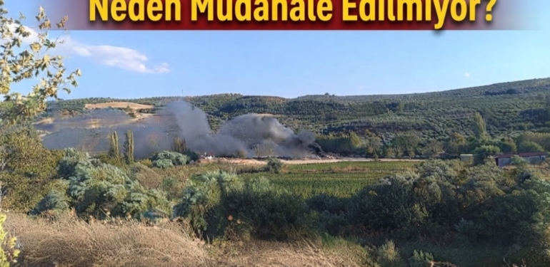 Altınözü’nde Çöp Alanında Dikkat Çeken Görüntü!
